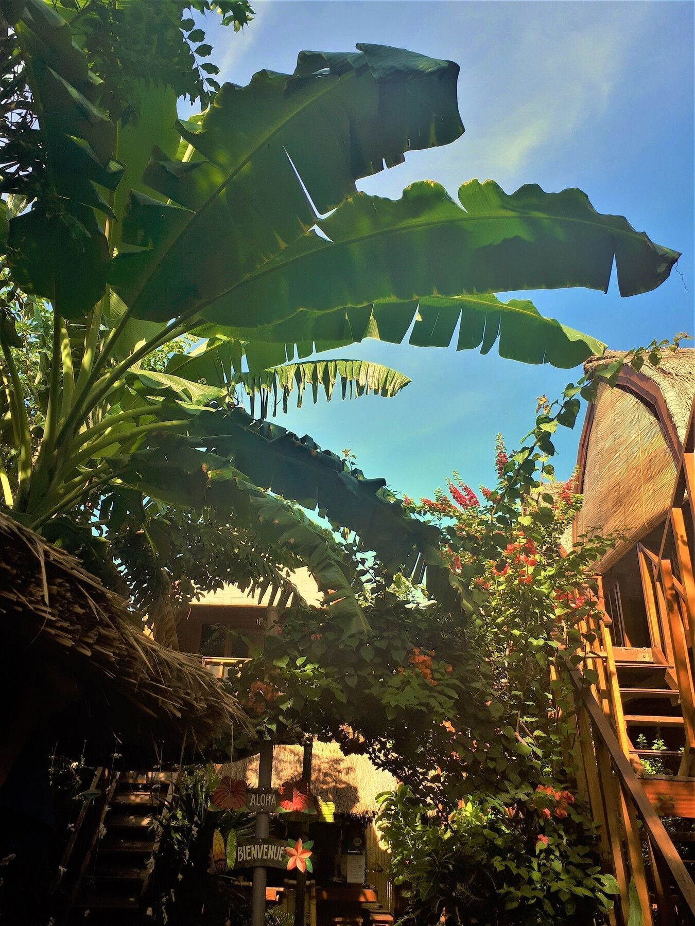 Good Vibes Bungalows Gili Trawangan Exterior photo